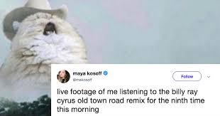 We did not find results for: Cat With Cowboy Hat Meme Singing