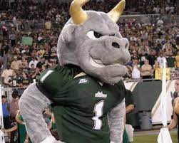 The 50 Best Mascots In College Football Usf Football Florida Football University Of South Florida