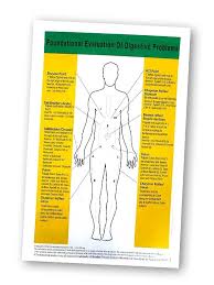 Foundational Evaluation Of Digestive Problems