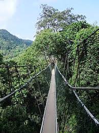 Pertamanya adalah melalui peta yang terletak di sepanjang sempadan timur di daerah mersing. Taman Negara Malaysia Wikipedia Bahasa Melayu Ensiklopedia Bebas
