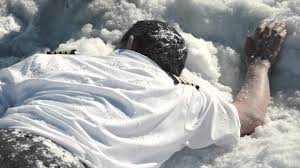 Image result for erebus crash