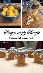 Surprisingly Simple Citrus Marmalade Mason Jar Cakes Marmalade Easy Homemade Recipes