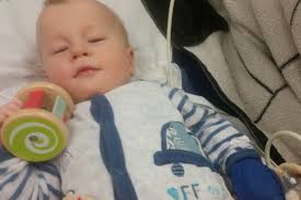 Fundraiser by Katja Alex : Janosch möchte leben!