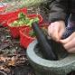 Hanningfield Spooky Spells and Pongy Potions event image