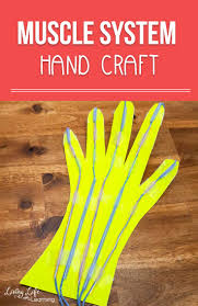 It makes them look cuter. Awesome Muscular System Hand Craft For Kids