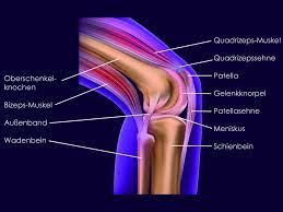 Knie verdreht, schmerzen vorne innen und komisches druckgefühl im knie? Genusport Wissenswertes