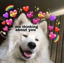 Top 28 Dog Memes Reaction Cute Love Memes Love Memes Cute Memes