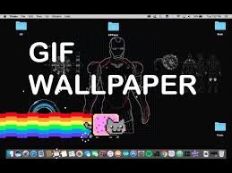 Step 2 add a video or image to create gif. Gif Image Most Wanted How To Make Your Wallpaper A Gif Mac