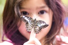 Stock Image Search Results