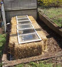 Measure one 2x12 lumber 72\\ long for the back, one 2x8 lumber 72\\ long for the front and two 2x12 lumber 36\\ long for the sides; How Why And When To Use Cold Frames In Your Garden Growjourney