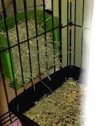 Former tack room with harness rack, coat hooks, 1x double socket and washing machine point 4. Pin On Bunnies