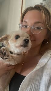 What are dog-friendly breweries and daycares