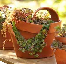 How to plant a succulent garden in a pot. How To Plant A Cracked Pot Succulent Garden Broken Pot Garden Succulent Pots Succulents Garden
