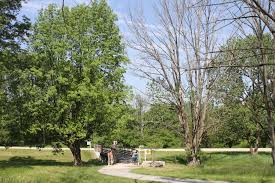 New Tips For Managing Emerald Ash Borer Purdue Landscape Report