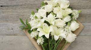 Check spelling or type a new query. Popular Flowers To Express Sympathy Bouqs Blog