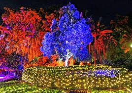 The Enchanted Garden Roma Street Parkland Brisbane Family Explorers