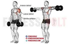 Reverse the movement and lower the dumbbells with control. Do Lateral Raises And Shoulder Presses With Dumbbells Work Out The Same Muscles Quora