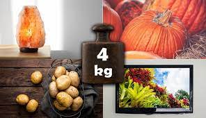 10 Things That Weight 4 Kilograms Kg Weight Of Stuff