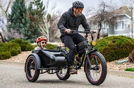 Image result for bicycle sidecar
