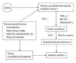 Oxidative Stress Insulin Resistance Dyslipidemia And Type