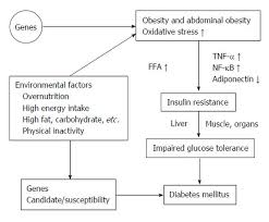 oxidative stress insulin resistance dyslipidemia and type