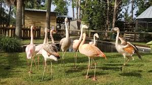 ZooWorld Zoological Park – South Walton ...