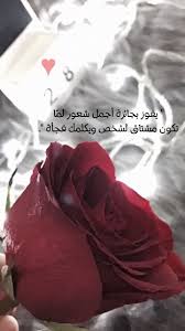 سنابات صور عبارات bow sneakers arabic love quotes puma sneaker