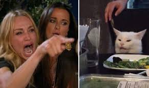 Hilarious Woman Yelling At Smudge The Cat Meme Finds Second Life On Twitter Complex