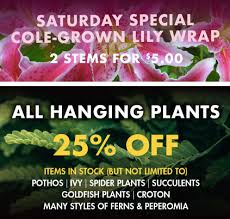 We service concord, on for all your floral needs such as. Cole Gardens On Twitter Saturday Specials 3 15 Cole Grown Lilies And Gorgeous Green Hanging Plants Concordnh Colegrown Concordchamber