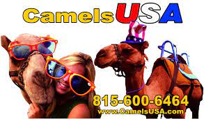 Leadership learn about our boards, which empower the zoo to protect wildlife each and every day. Mobile Petting Zoo Chicago Animal Entertainment Rentals Chicago Area Home Facebook