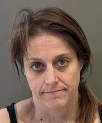 Four arrested in Priceville for meth possession after disturbance