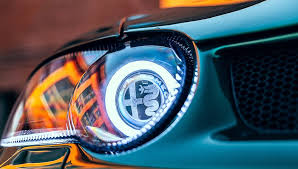 Image result for Verde Boreale 2008 147