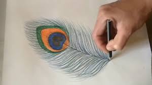 By drawanimal january 26, 2021. How To Draw A Peacock Feather Color Pencils Youtube