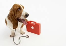 benadryl for dogs