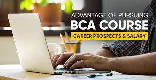 Advantage Of Pursuing Bca Course Career Prospects Salary Career Education Career Guidance Career Opportunities