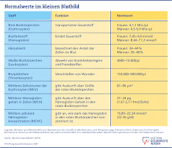 Werte des kleinen blutbildes und des differentialblutbildes. Wichtige Laborwerte Stiftung Gesundheitswissen