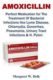 Amoxicillin Perfect Medication For The Treatment Of Bacterial Infections Like Lyme Disease Chlamydia Gonorrhea Pneumonia Urinary Tract Infections Amp H Pylori Buy Online In Mongolia At Mongolia Desertcart Com Productid 62872545