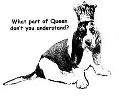 Basset Hound Beagle Mix Black And White I Have A Basset Queen Diva And Two Basset Princesses At Home With Images Bassett Hound Weird Animals Basset