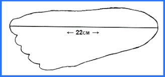 shoe sizes boynewalk