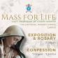 Diocesan Monthly Mass for Life - Enterprise Car & Van Hire - Motherwell, 76 Newarthill Rd, Carfin Event Image