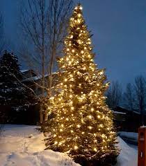 The strand has 25 c7 bulbs in an array of colors: Warm White Led C7 Outdoor String Light Set On White Wire Novelty Lights Inc