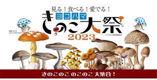 ヨコハマきのこ大祭2023 イベント概要 さん