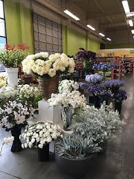 Northwest wholesale florist is a florist in seattle, wa. Silks Sticks Etc Northwest Wholesale Florists Silk Flowers Wholesale Florist Silk