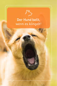 Der Hund Bellt Wenn Es Klingelt In 2020 Hund Bellt Hunde Bellen Abgewohnen