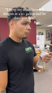 Some one had to say it🤷🏽‍♂️ #beardeddragon #animalcare #reptiles