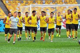 The malayan tiger is the national animal of malaysia.rhinoceros hornbill (national bird). Other Sport Crowd Pleasers We Owe It To The Fans To Beat Myanmar Says Cheng Hoe The Star