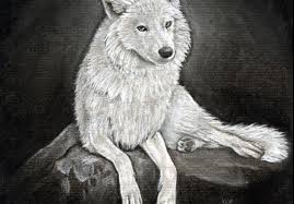 Wolves hunt other animals for food. How To Draw A Wolf Trending Difficulty Any Dragoart Com