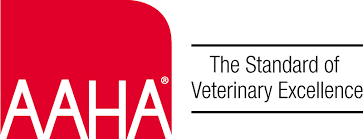 This films explains, where to go, what will happen and what it will feel like to have a pet/mri scan at uclh. Welcome To Berkeley Dog Cat Hospital Gp Emergency Veterinarians