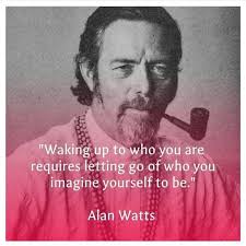 Critique of Nonduality and Buddhism in Advaita Vedanta Context