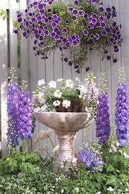 Pretty Delphiniums And Petunias On A White Picket Fence Avec Images Idees De Jardin Fleur Jardin Violet Jardins Champetres
